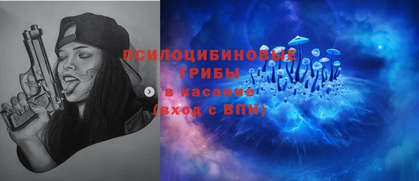 прущие крисы Алексеевка