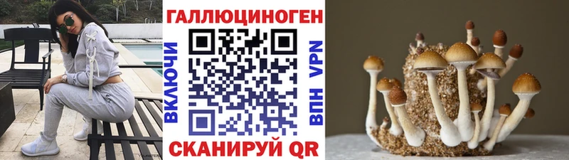 Псилоцибиновые грибы Psilocybine cubensis Якутск