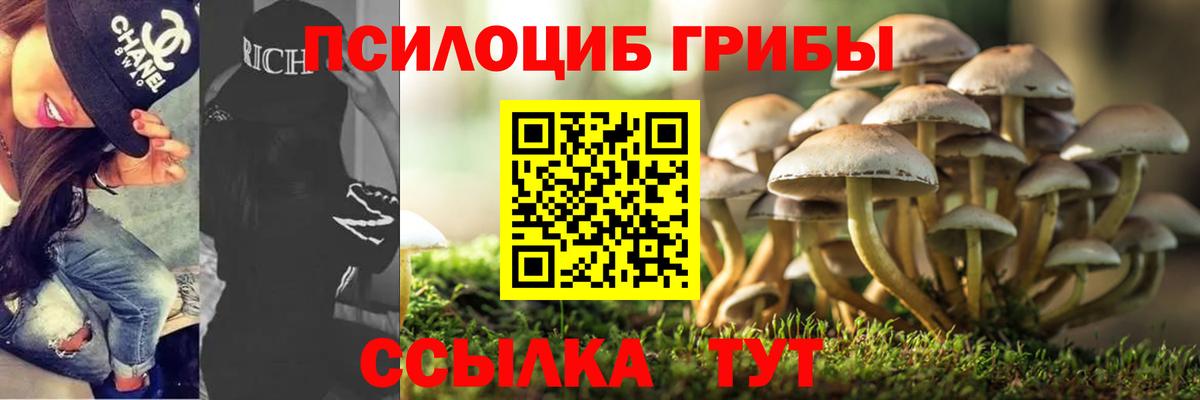Галлюциногенные грибы прущие грибы  Псилоцибиновые грибы Cubensis  Якутск  Вход с VPN 